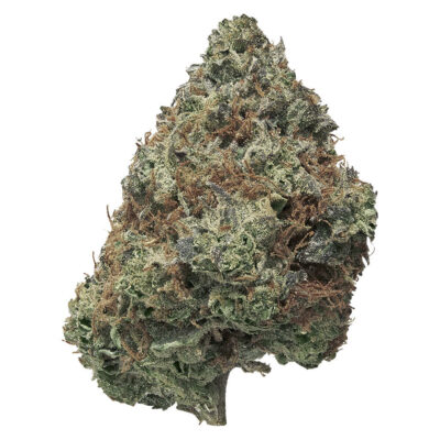 SIMPLY BARE BC Organic Pink Drip | 3.5g | Indica