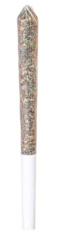 Station House | White Widow Pre-Roll 1x0.5g Pre-Rolls